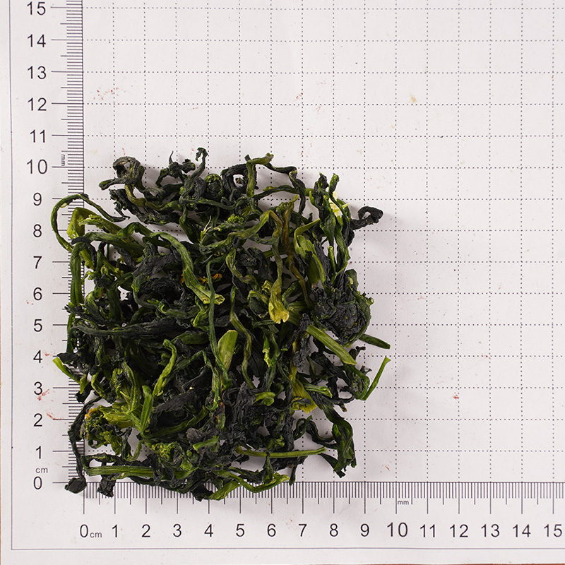 Kiszáradt zöld szár zöldség Kiszáradt zöld szár zöldség