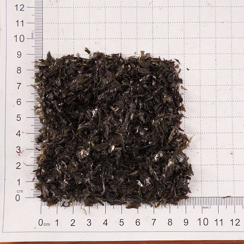 Kiszáradt nori Kiszáradt nori